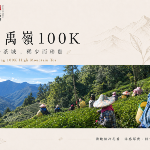 大禹嶺100K高冷茶<br> Da Yu Ling 100K High Mountain Oolong Tea