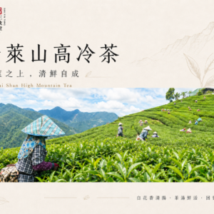 奇萊山高冷茶<br>  Qi Lai Shan High Mountain Oolong Tea<br><br>