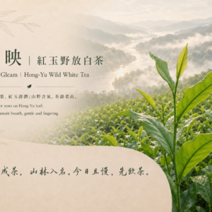 川映｜紅玉野放白茶<br>River Gleam｜<br>Hong-Yu Wild White Tea