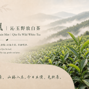 晴嵐｜沁玉野放白茶<br>Clear Mountain Mist｜Qin-Yu Wild White Tea