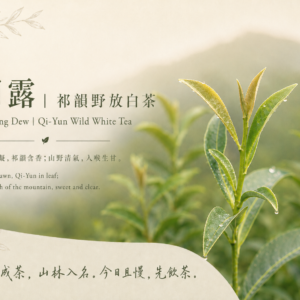 朝露｜祁韻野放白茶<br>Morning Dew｜<br>Qi-Yun Wild White Tea