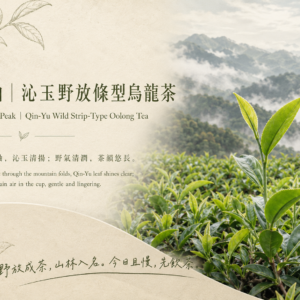 雲岫｜沁玉野放條型烏龍茶<br>Clouded Peak｜Qin-Yu Strip type Wild  Tea