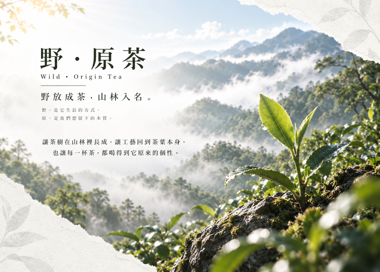 野・原茶