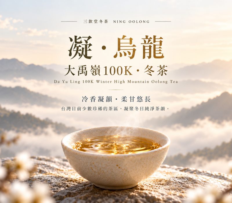 凝・烏龍-大禹嶺100K封面照EDM