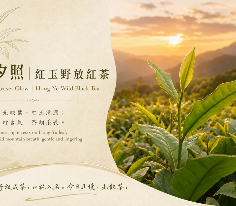 夕照紅玉紅茶封面