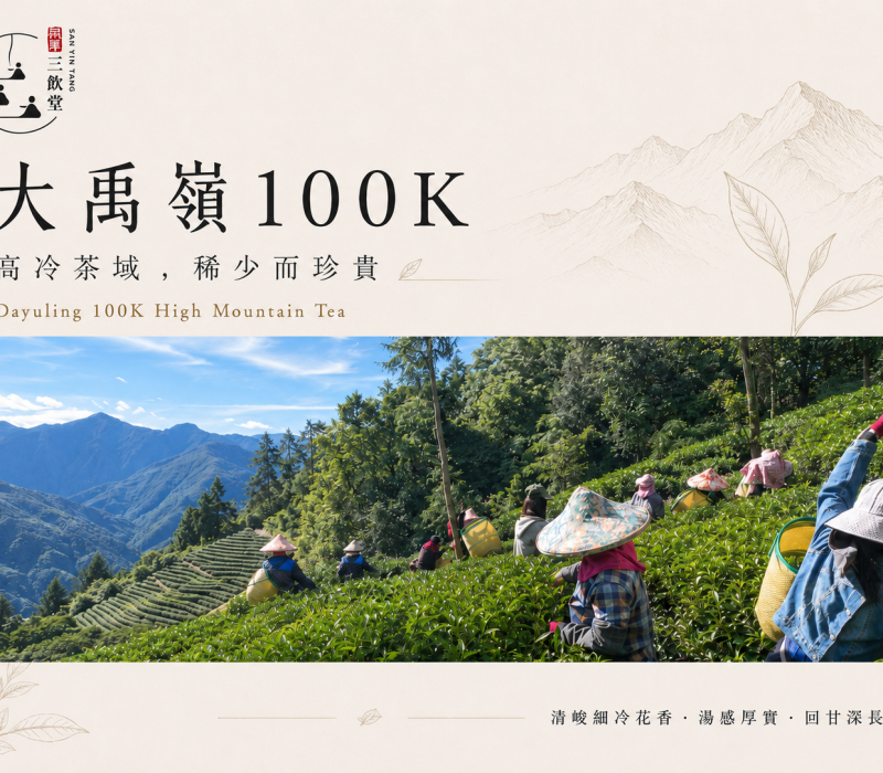 大禹嶺100K封面EDM-1