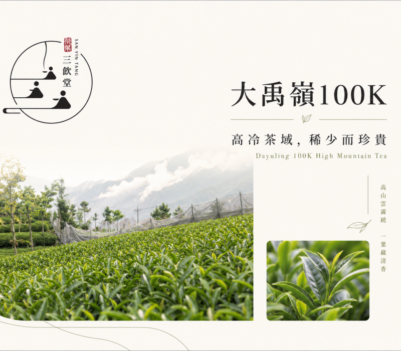 大禹嶺100K封面照