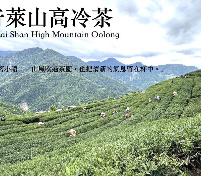 奇萊山官網封面-JPG.1