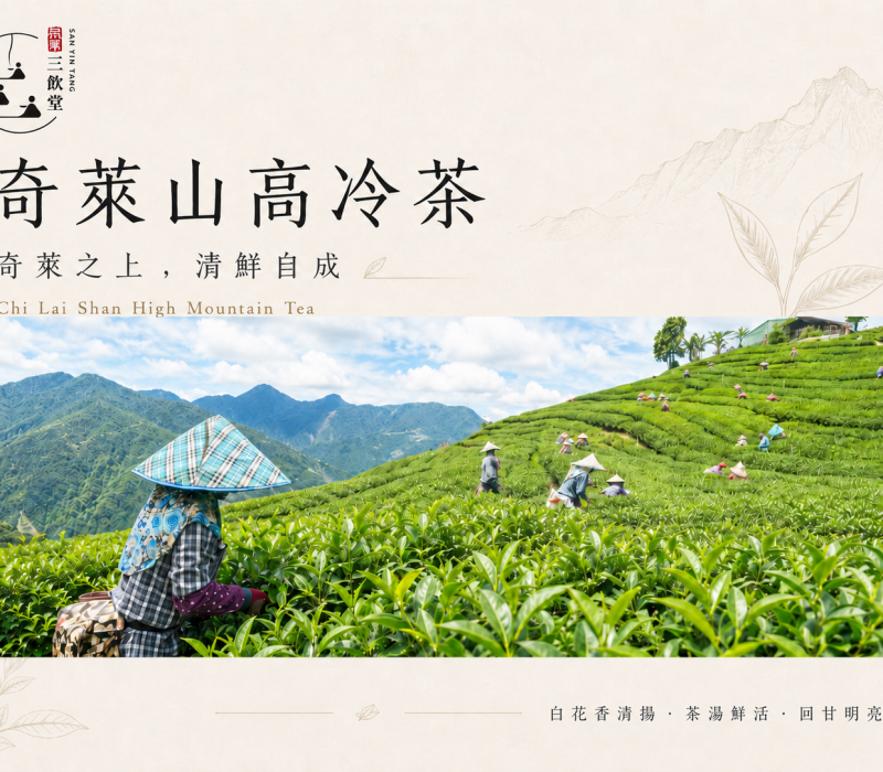 奇萊山封面EDM-1