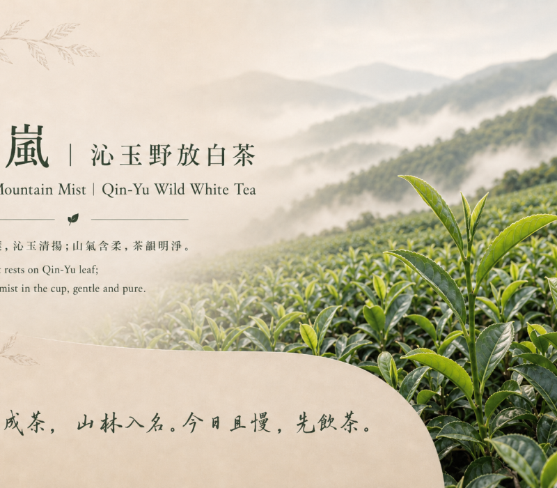 晴嵐沁玉封面EDM