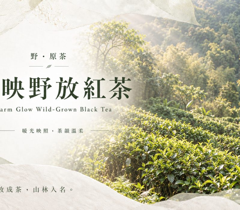 暖映野放紅茶-JPG