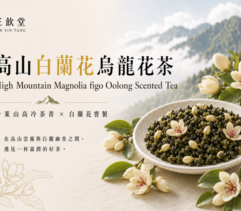 白蘭花花茶封面EDM