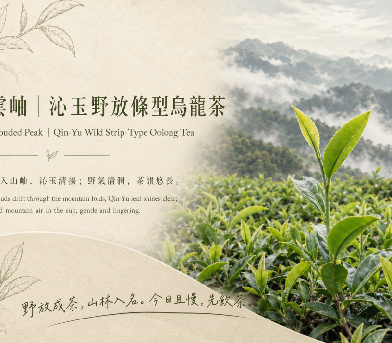雲岫沁玉條型烏龍茶