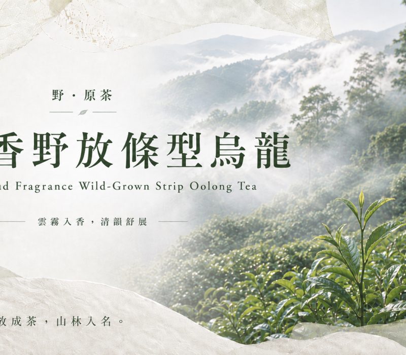 雲香野放條型烏龍-JPG