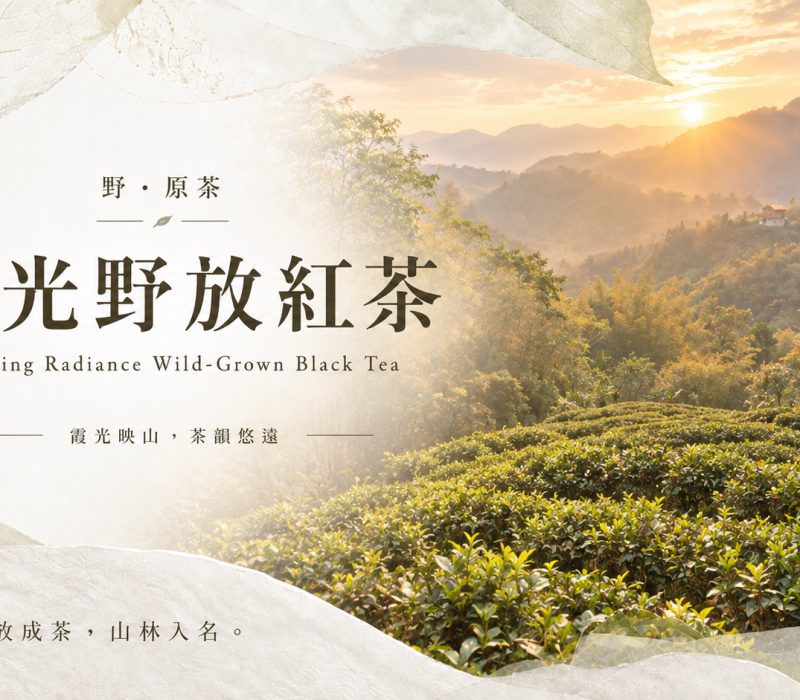 霞光野放紅茶-JPG
